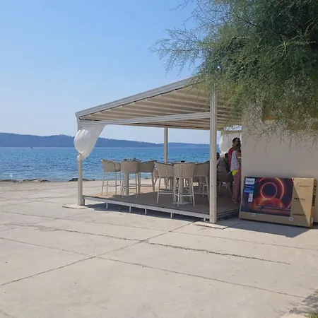 Pelivan