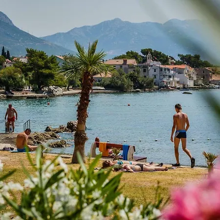 Pelivan * Каштела