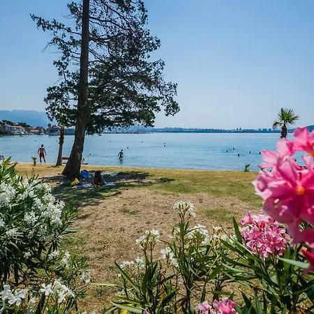 Pelivan Kastela